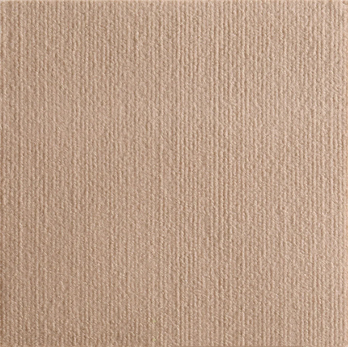 Ultimate Cat Scratching Mat - Self-Adhesive, Trimmable Carpet for Protecting Your Furniture from Scratches
