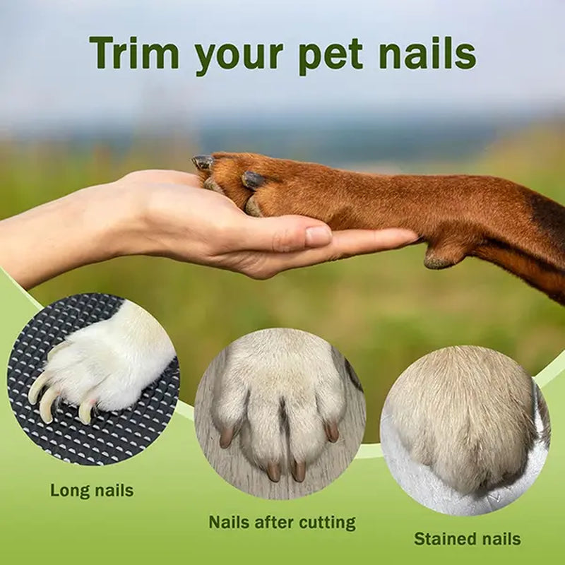 Revolutionary LINKEVAP 2-In-1 Pet Nail Clipper & Grinder Set - Ultra Quiet Rechargeable Trimmer for Dogs and Cats of All Sizes