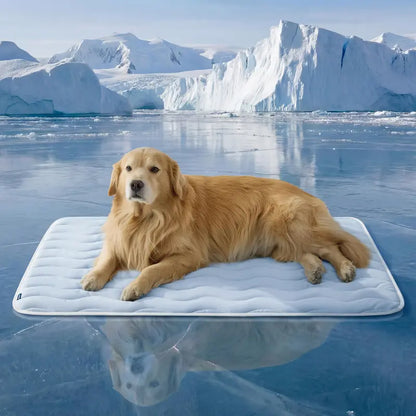 Bedsure Premium Cooling Blanket for Dogs & Cats - Lightweight, Breathable, and Machine Washable for Ultimate Comfort